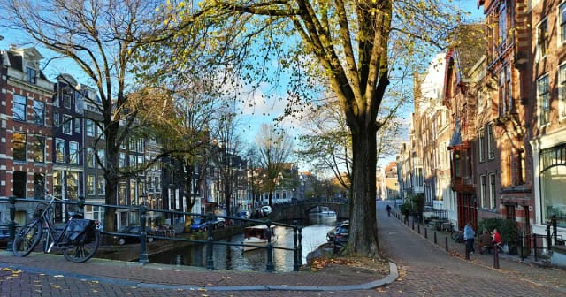 Frankfurt Airport to Amsterdam: The Long Way, Done Right