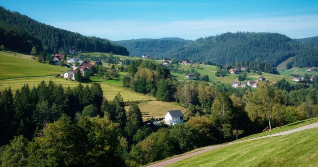 Black Forest Day Trip from Frankfurt: Cuckoo Clocks & Pines