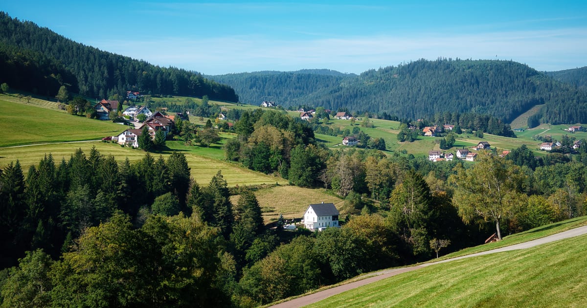 Black Forest Day Trip from Frankfurt | FrankfurtRide