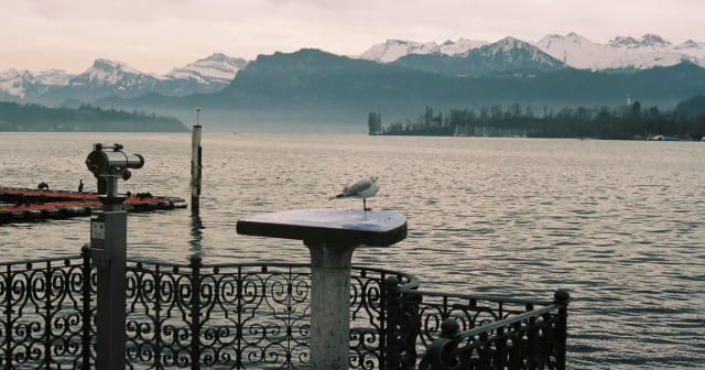 Frankfurt Airport to Switzerland: Basel, Zurich & Geneva