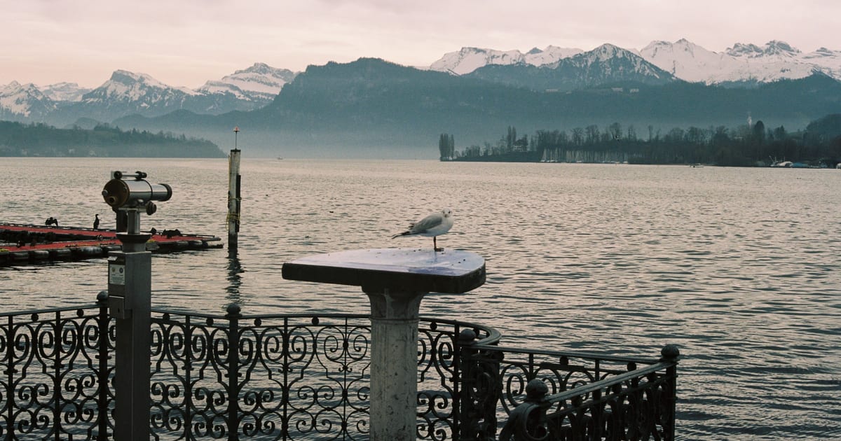 Frankfurt Airport to Switzerland Transfer Guide | FrankfurtRide