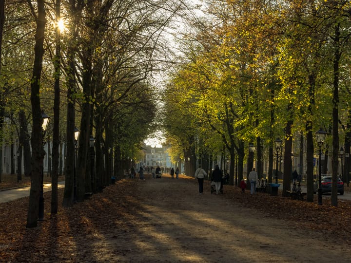 The Hague airport transfer — frequently asked questions