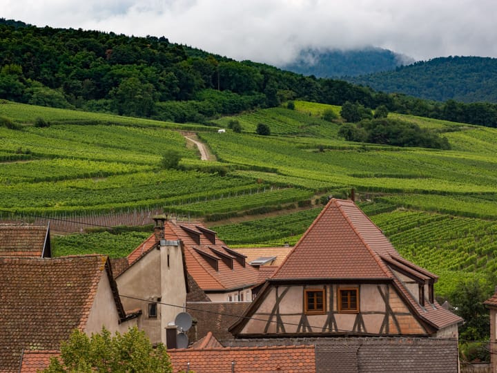 Alsace Wine Route, France