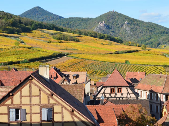 Alsace Wine Route airport transfer — frequently asked questions