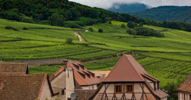 Airport transfer to Alsace Wine Route, France from Frankfurt Airport