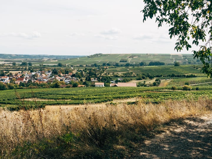 Ingelheim airport transfer — frequently asked questions