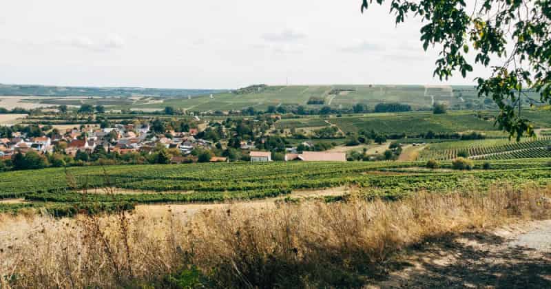 Airport transfer to Ingelheim, Germany from Frankfurt Airport