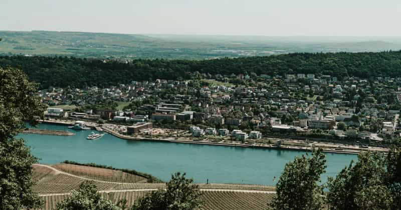 Airport transfer to Rheingau Wine Region, Germany from Frankfurt Airport