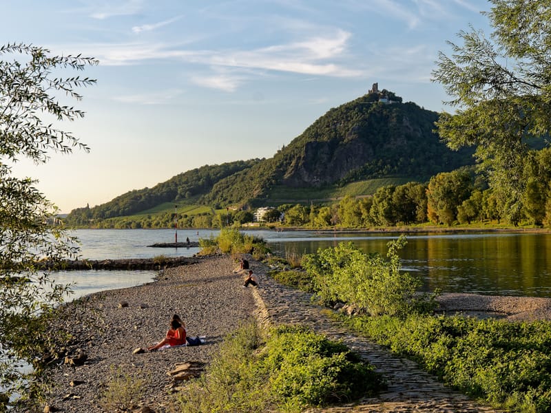 Rüdesheim & Rhine Gorge airport transfer — frequently asked questions