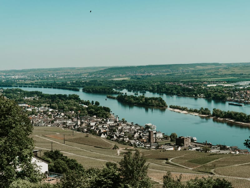 Private transfer from Frankfurt Airport to Rüdesheim & Rhine Gorge